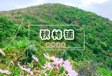 1日 | 秋林鋪12KM環穿?